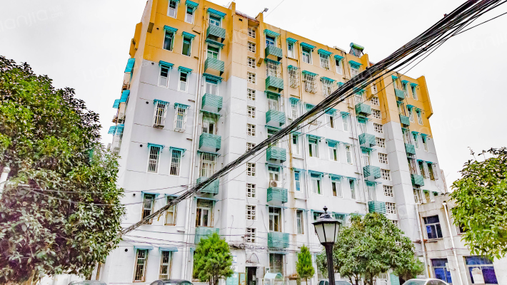 隆岗南村外景图