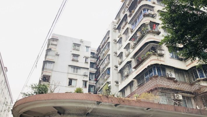 平桂街41号外景图