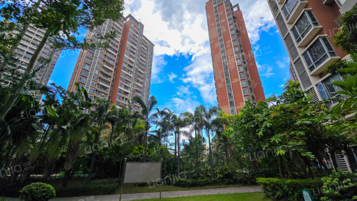 锦龙又一城2外景图