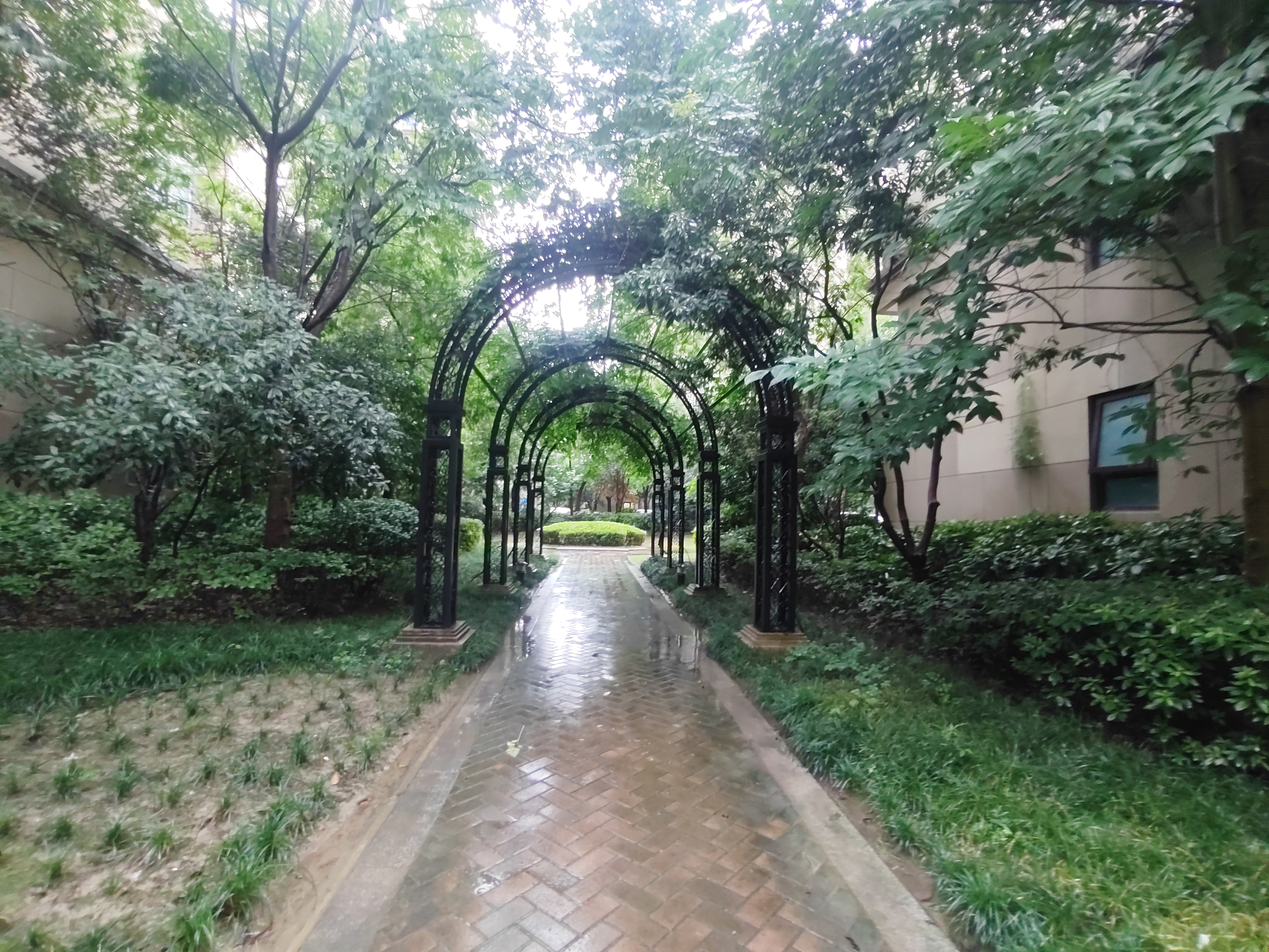 世茂东壹号（茂悦府）小区实景 6