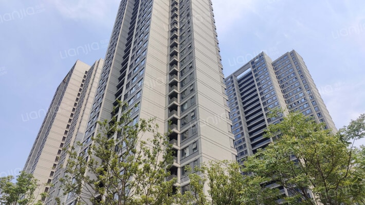 金基雅玥外景图