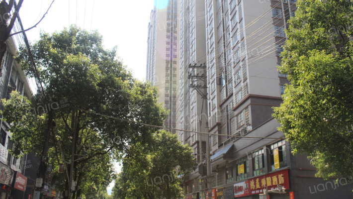 鸿锦国际外景图