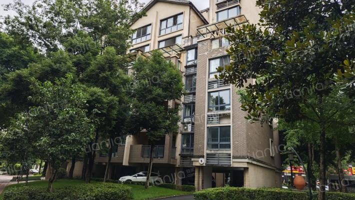 南方玫瑰城恋湖外景图