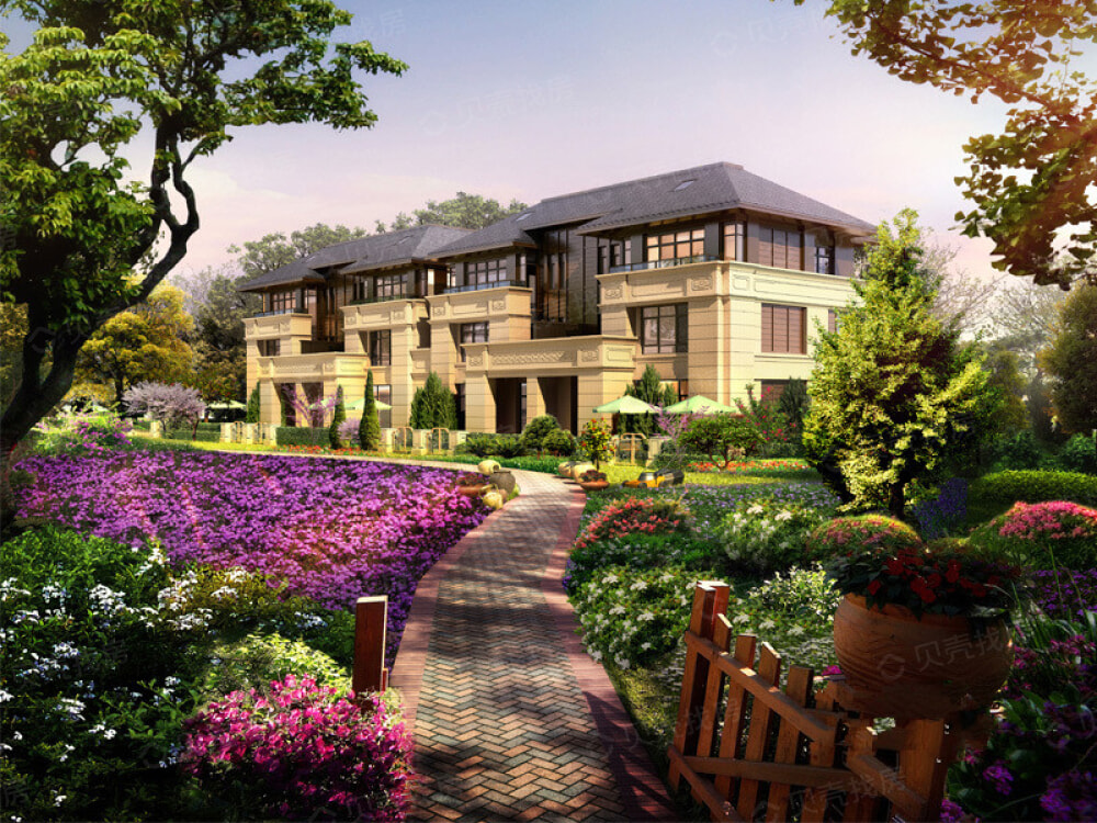 天和尚上海相册