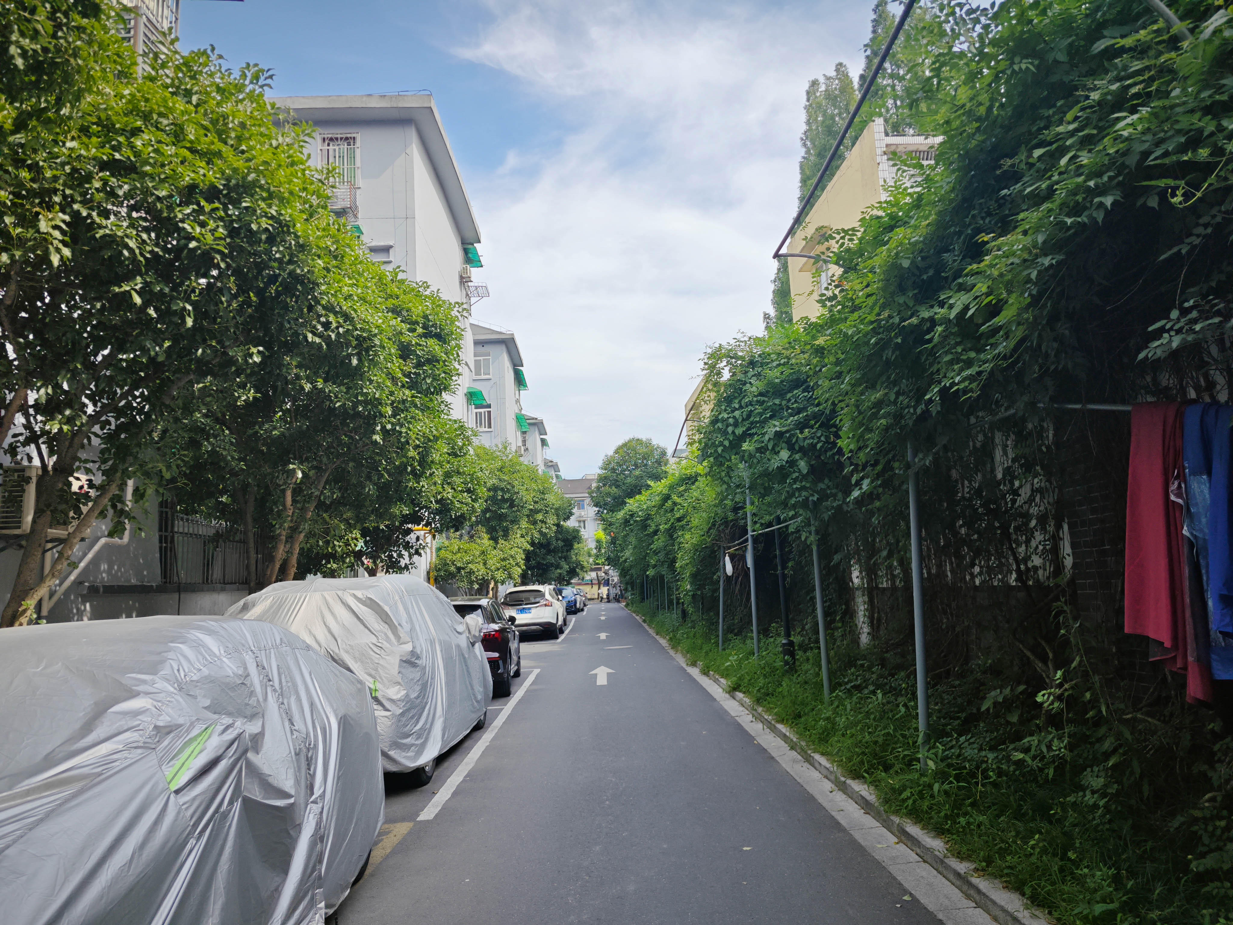 Moganxincun  compound photo 36