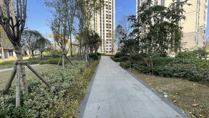 碧桂园大学印象外景图