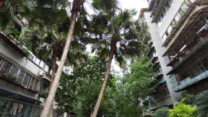 清江东路33号外景图