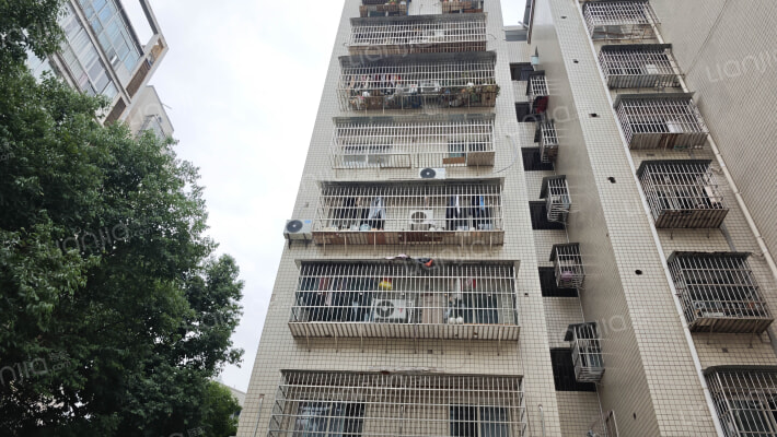 科豪小区外景图