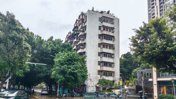 新达街十五号外景图