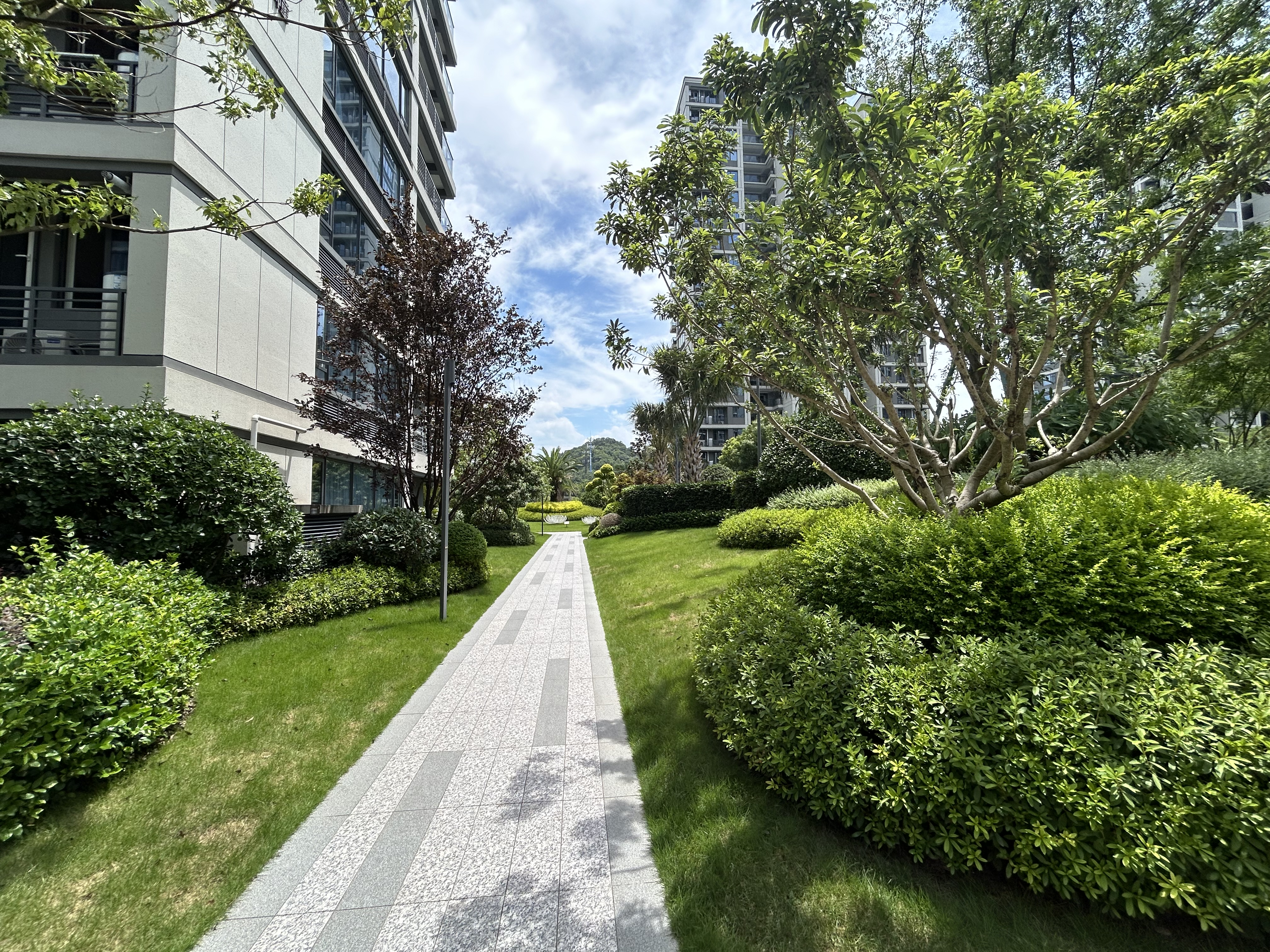 滨耀学府小区实景 9