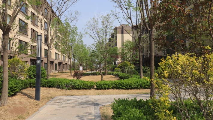 中建玖棠府外景图