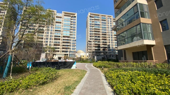 星光岛玫瑰园外景图