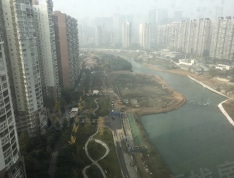 红树湾实景图