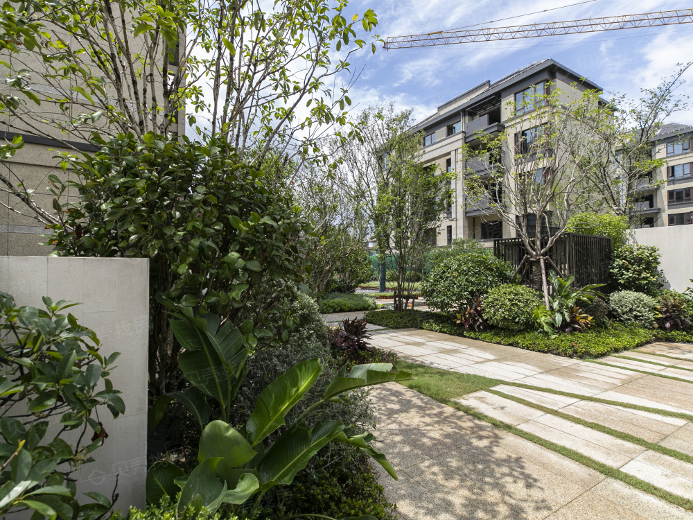 佘山水岸名邸相册