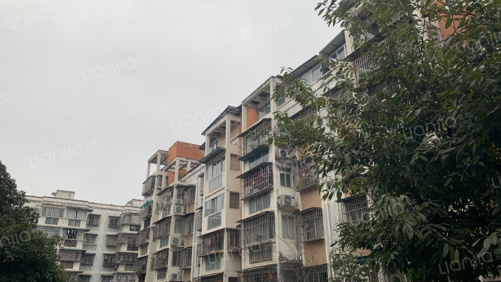 天人路78号外景图