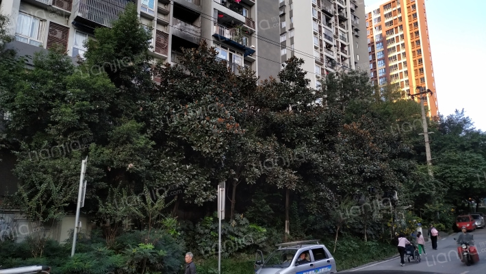 天星康韵外景图