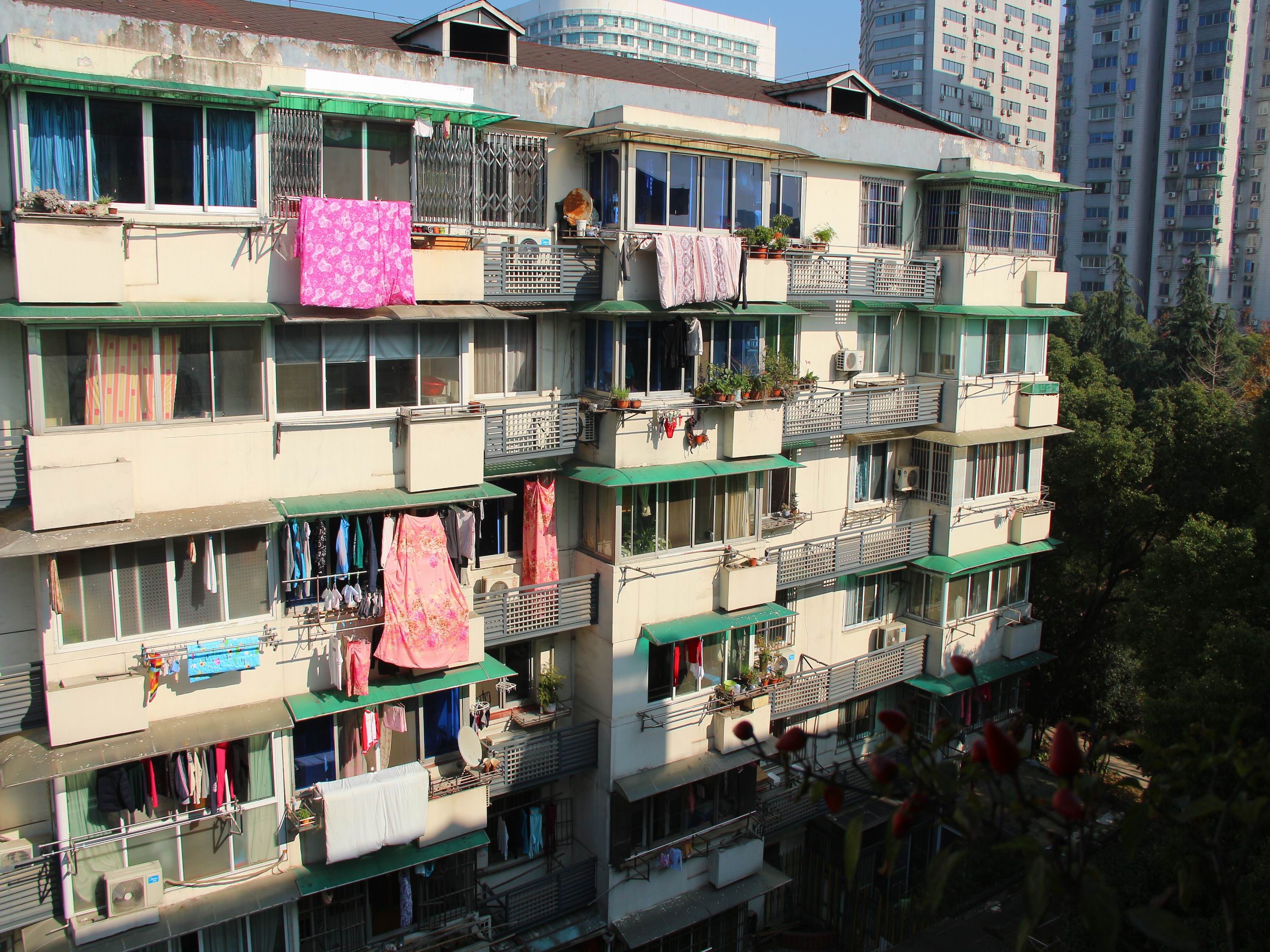 古荡新村东区小区实景 17