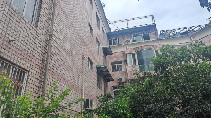 新驿步行街一段25号外景图