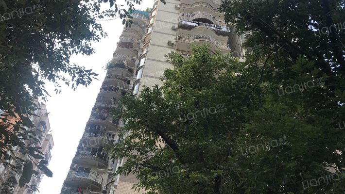 工商局集资房外景图