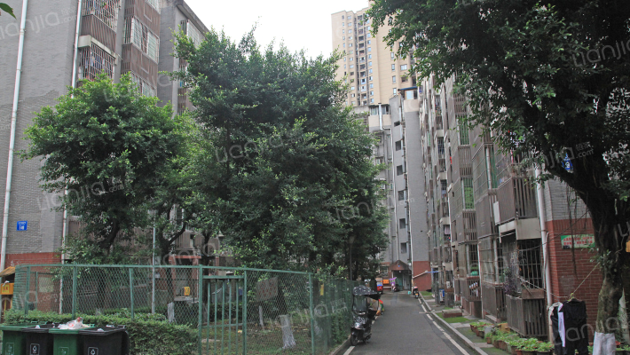 水竹苑2区外景图