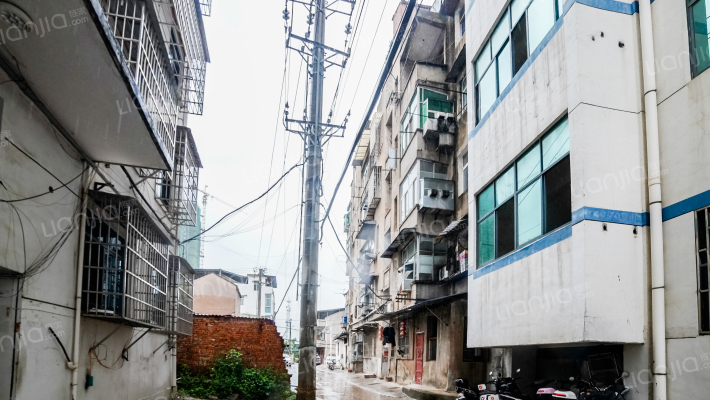 树藩大街361号外景图