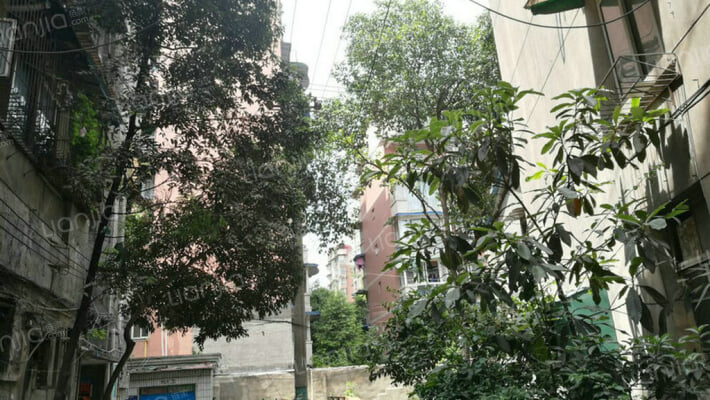 金鱼街9号外景图