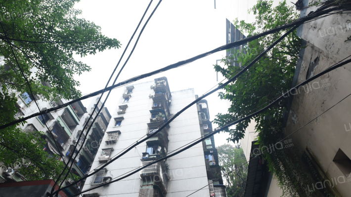 胜利街79号外景图