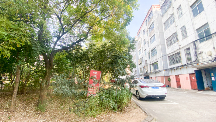 饲料公司宿舍外景图