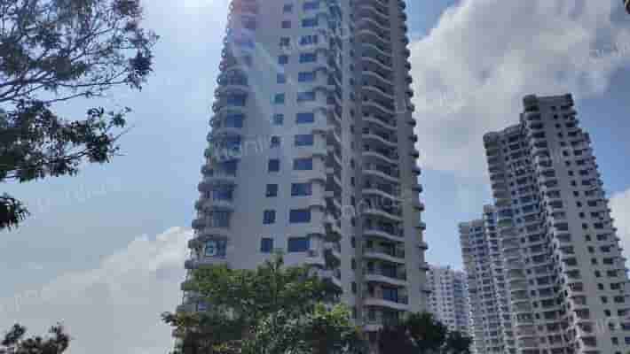 果岭海岸外景图