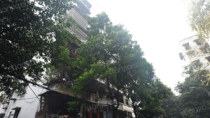 渝航路33号外景图