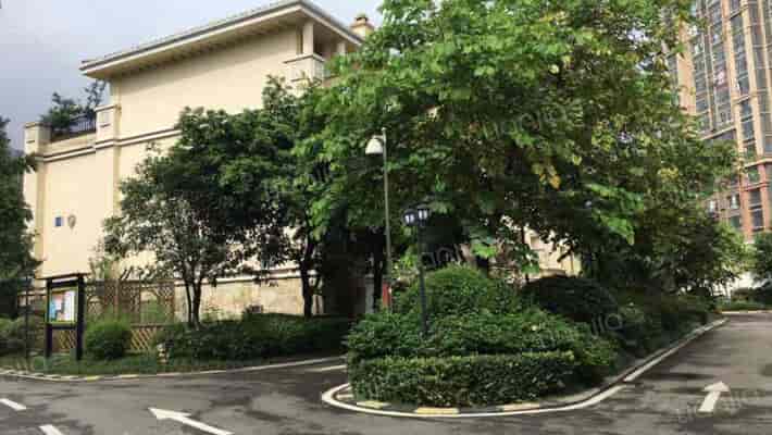 蓝山溪谷外景图