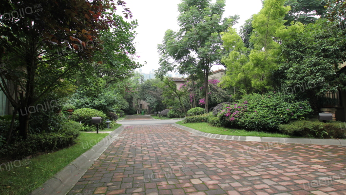 麓山国际翠云岭外景图