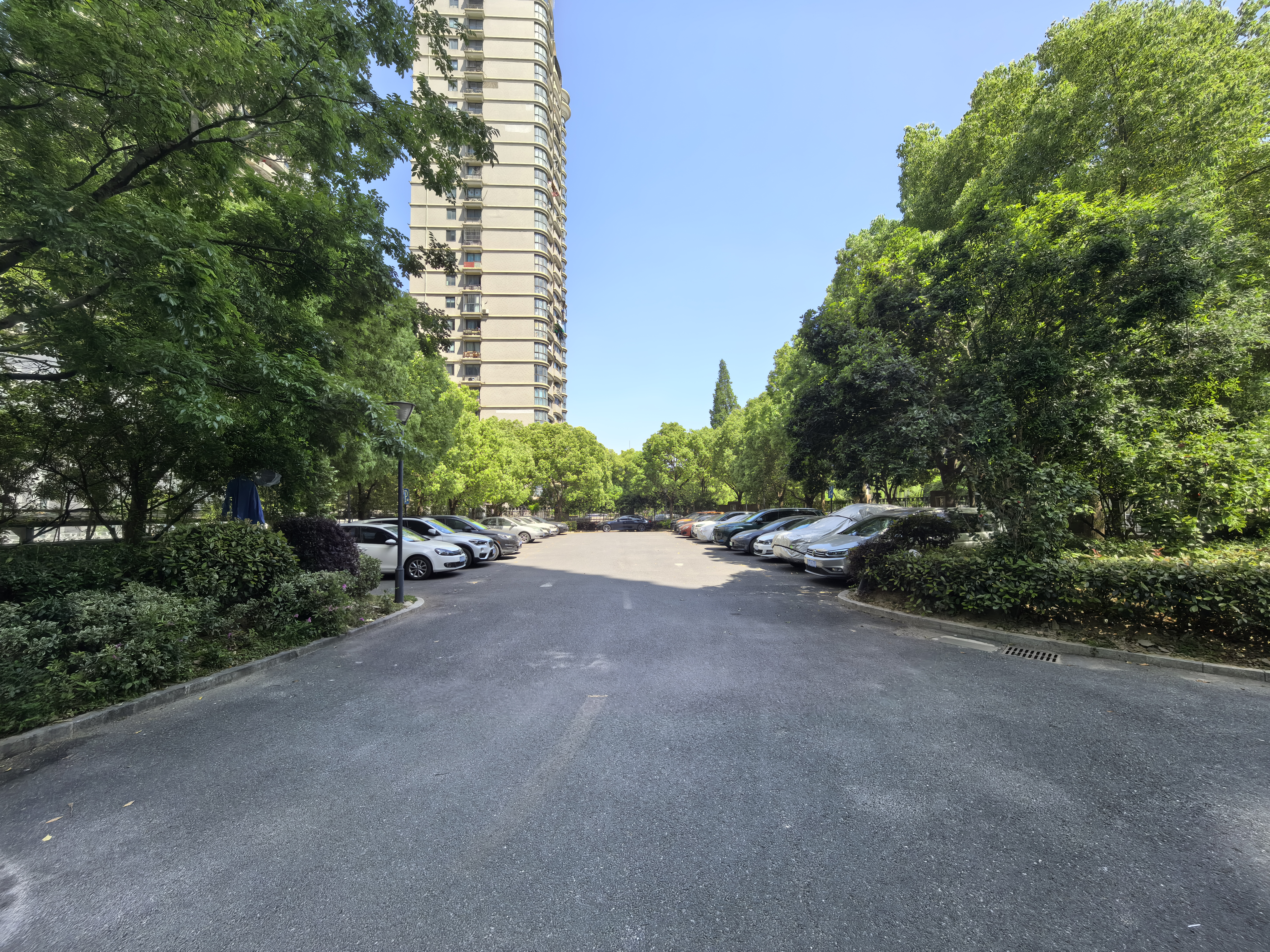 聚丰公寓小区实景 8