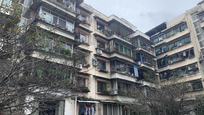 南大街344号外景图