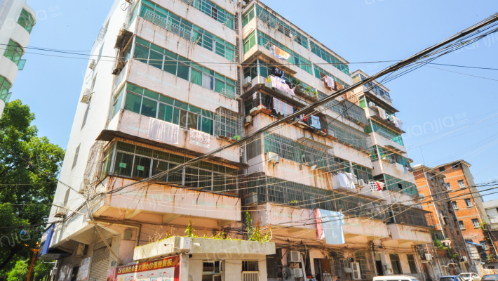 向阳路848号外景图