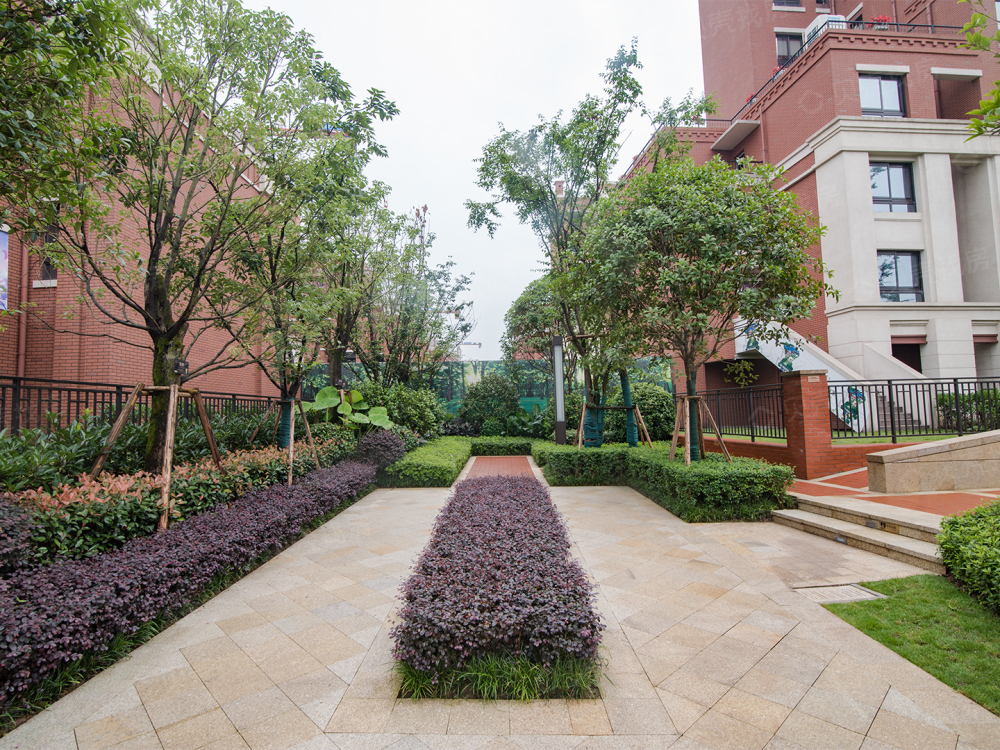 启迪协信星麓原相册