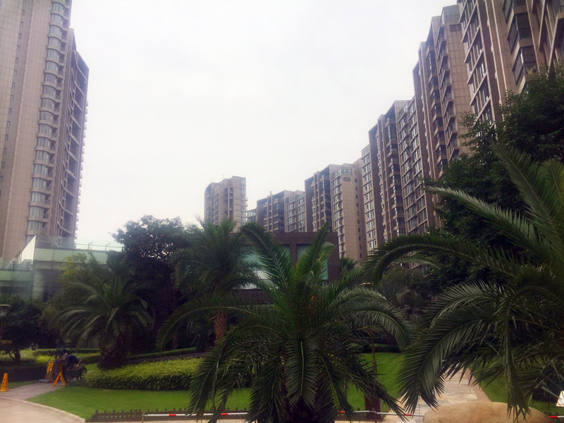 The Dreamland compound photo 6