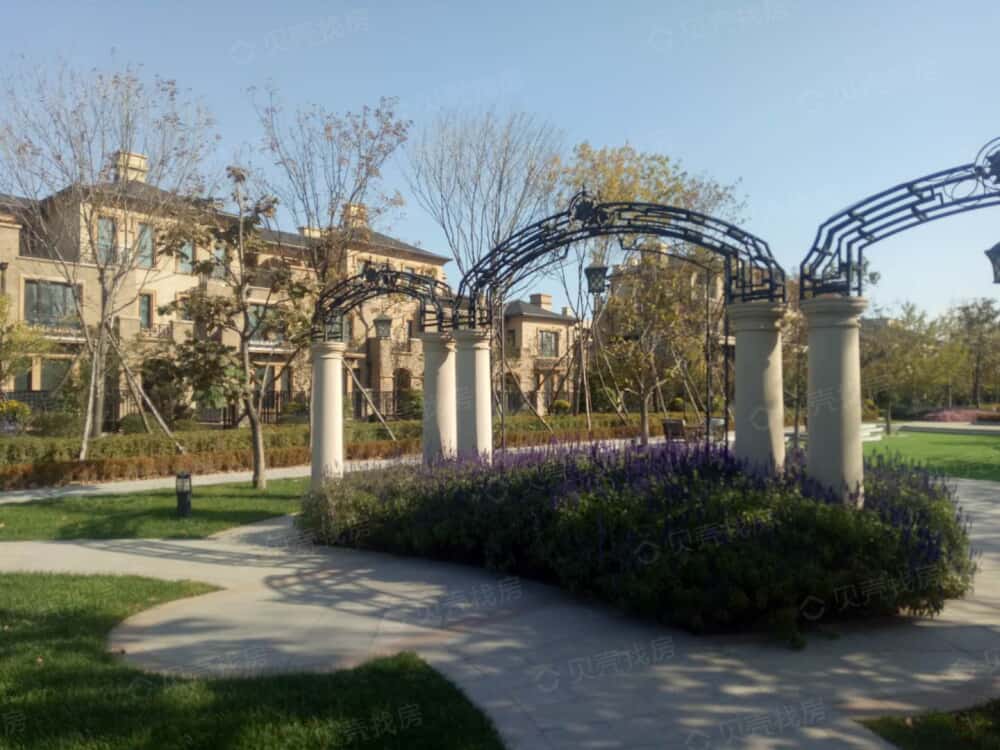 新湖美丽洲相册