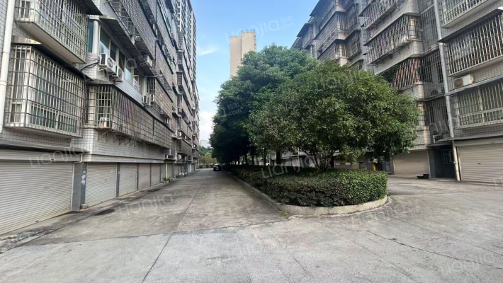 教师新村外景图