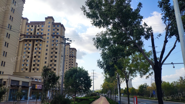 蓝光雍锦锦湖外景图