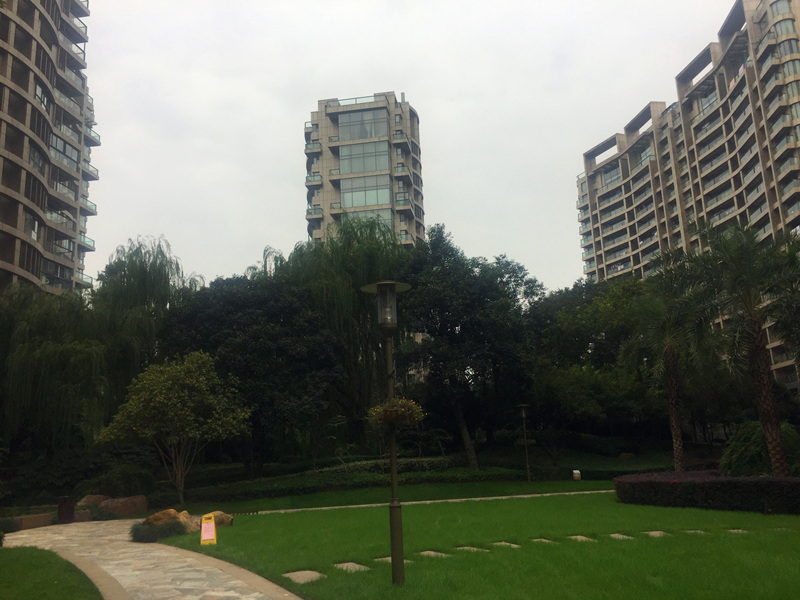 The Dreamland compound photo 9