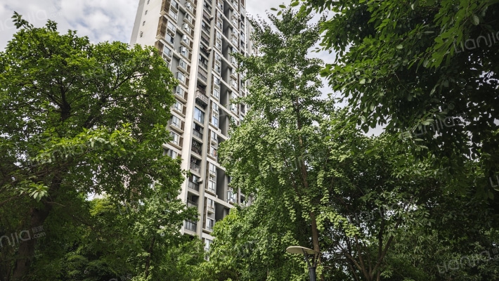 东桂一号院外景图