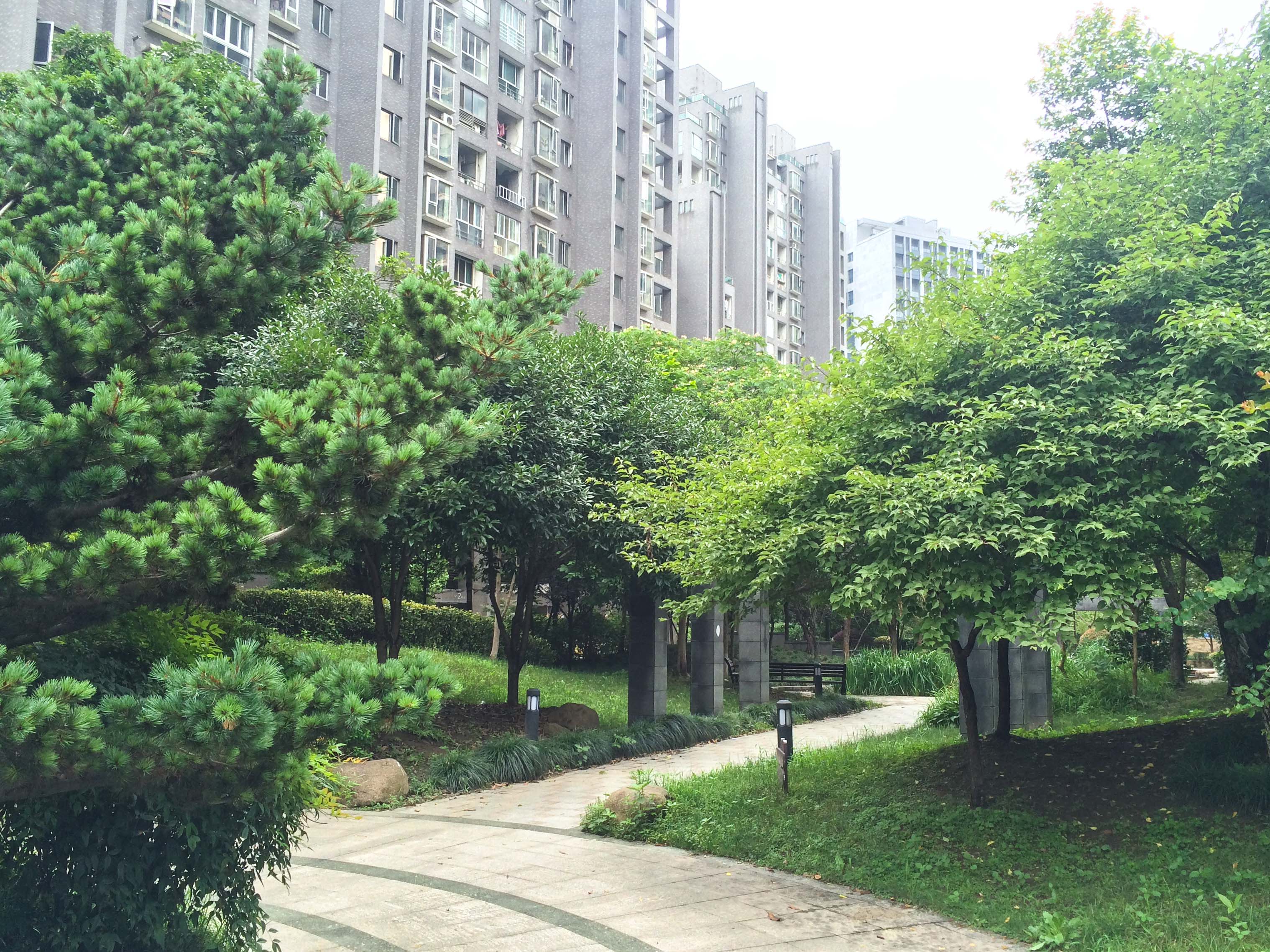 铂金时代小区实景 3