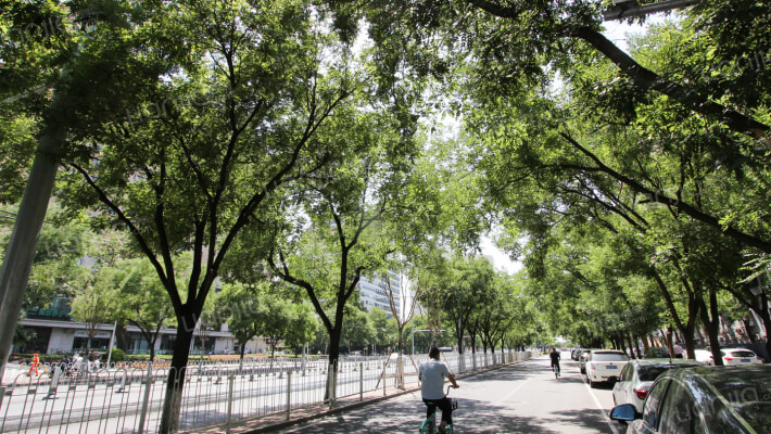 新中西里外景图