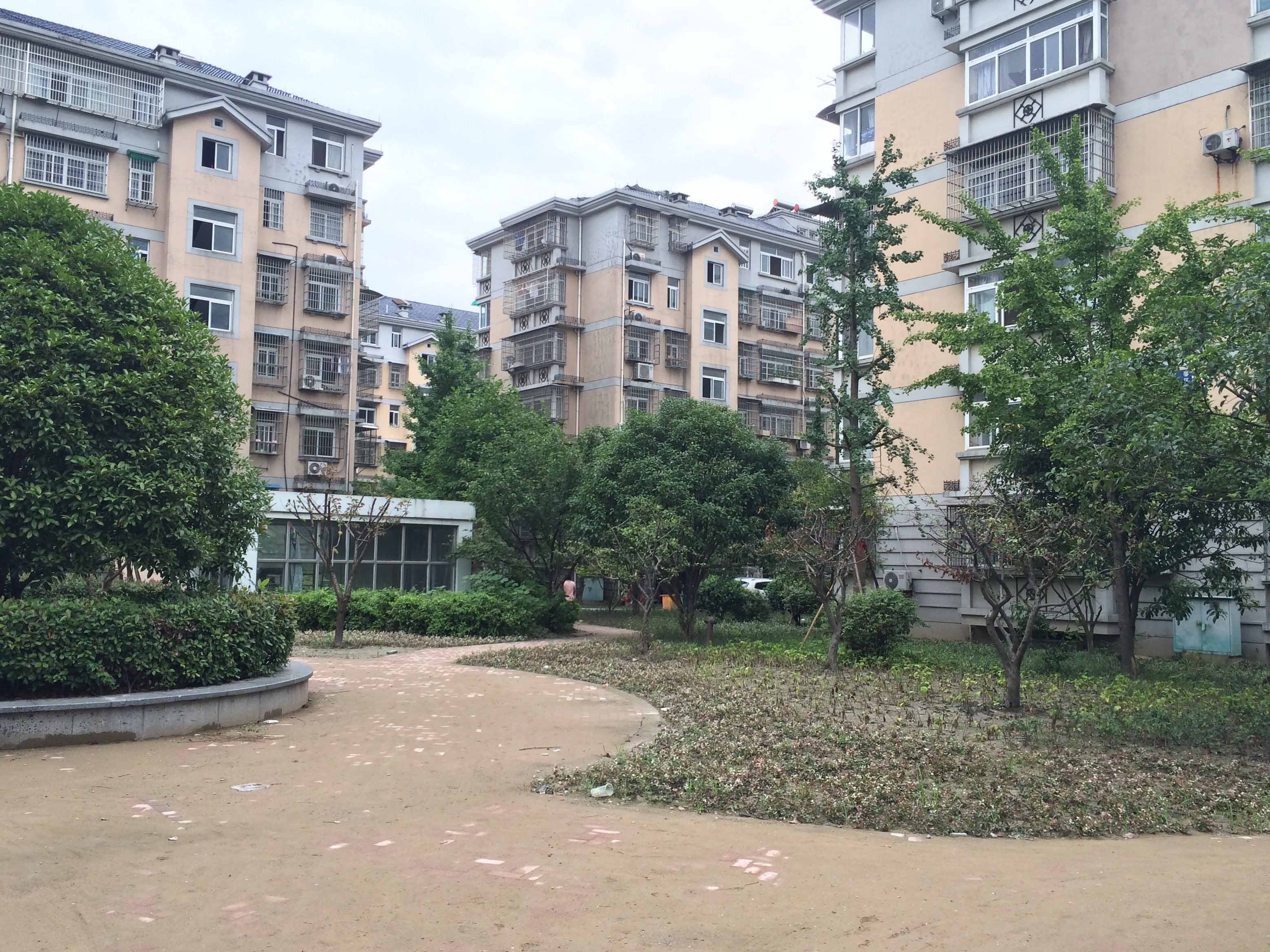 迎春小区小区实景 16