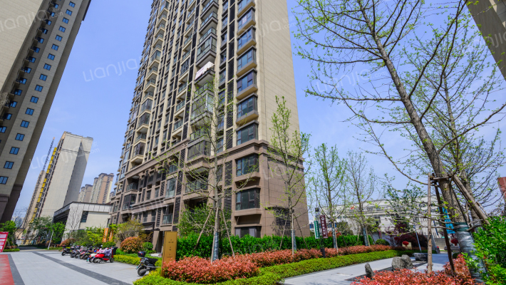 金科祥生悦园外景图