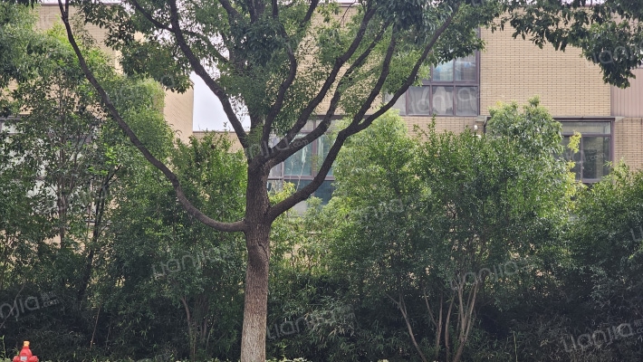 万科翠逸花园二区外景图