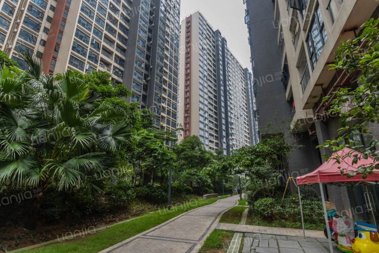 百丽名苑 深圳百丽名苑二手房 房价 租房 深圳贝壳找房