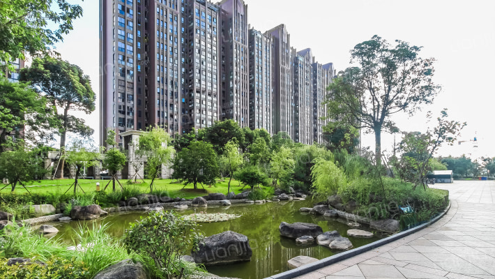 骆城芳洲外景图