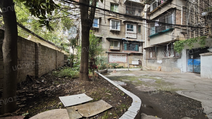 白果巷50号外景图